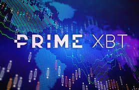 Explore the Features of PrimeXBT Forex Website Explore the Features of PrimeXBT Forex Website